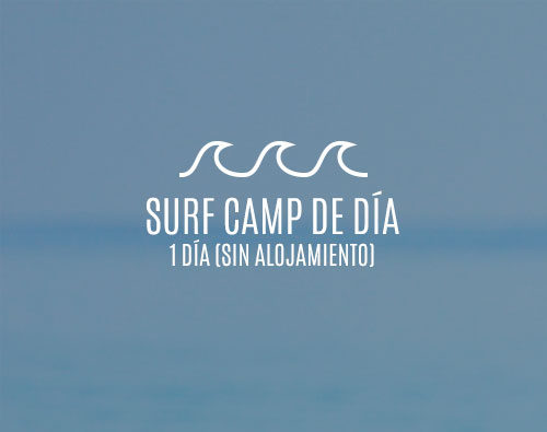 Campamentos de surf medio día